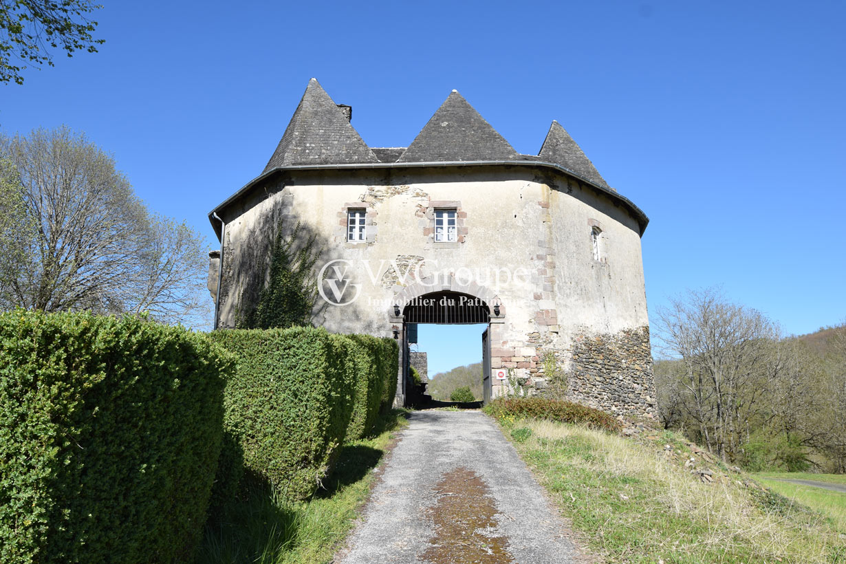 Château médiéval inscrit MH avec tour, donjon sur 7,11 hectares- Corrèze